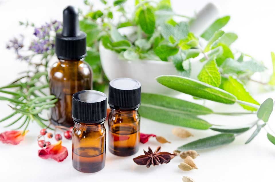Medicine bottles near plants.